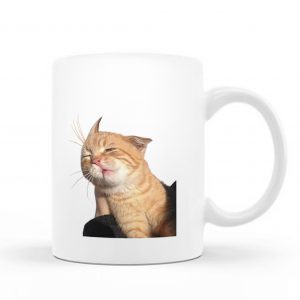 Katze Inc Mug – C06