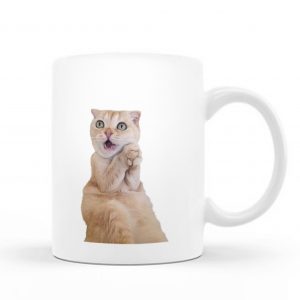 Katze Inc Mug – C26