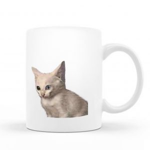 Katze Inc Mug – C27