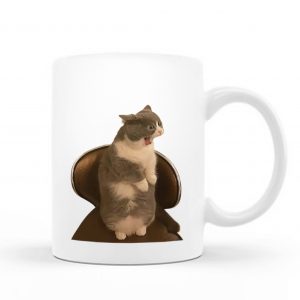 Katze Inc Mug – C29