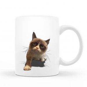 Katze Inc Mug – C30