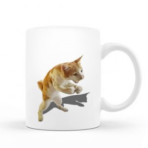 Katze Inc Mug – C31