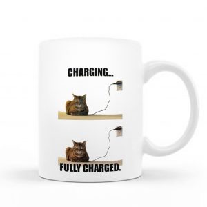 Katze Inc Mug – C35