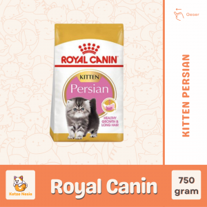 Royal Canin Kitten Persian 32 – 750 gr